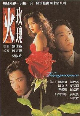 火玫瑰1992第19集