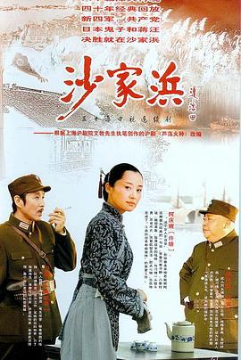 沙家浜2006第15集