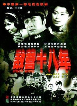 敌营十八年1981第09集(大结局)