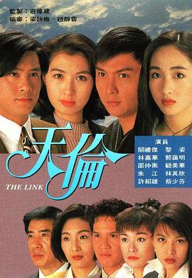 天伦1993第38集